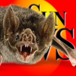 Sunnyside Daily Sun News doubles down